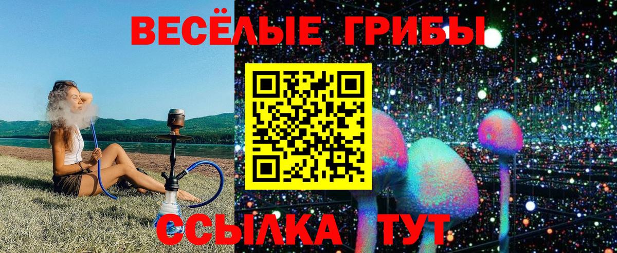 Псилоцибиновые грибы Cubensis  Псилоцибиновые грибы GOLDEN TEACHER  Артём  Вход с VPN 
