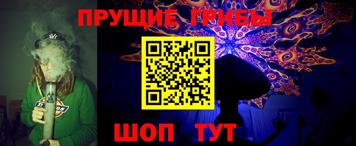 Галлюциногенные грибы Psilocybine cubensis Артём